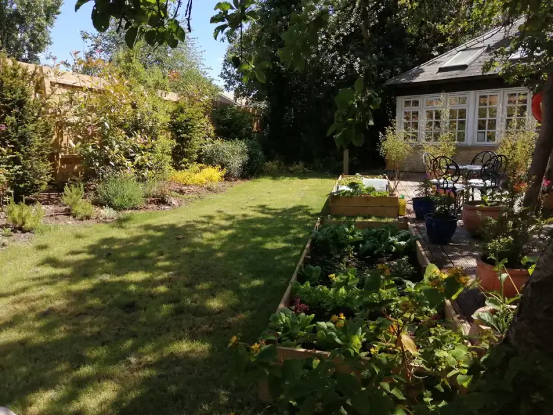 Rear garden with raised beds and garden room